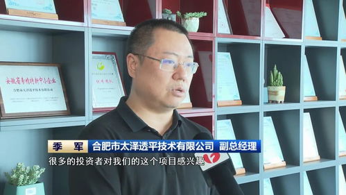 金融赋能，应用软件开发 安徽制造迈向新质生产力的加速器