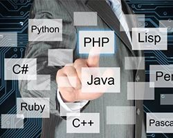 应用软件开发与培训 数字化时代的核心竞争力